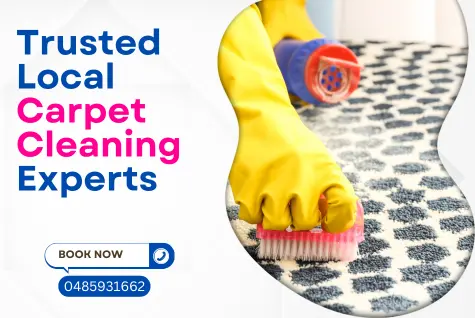 Local Carpet Cleaners That You Can Trust